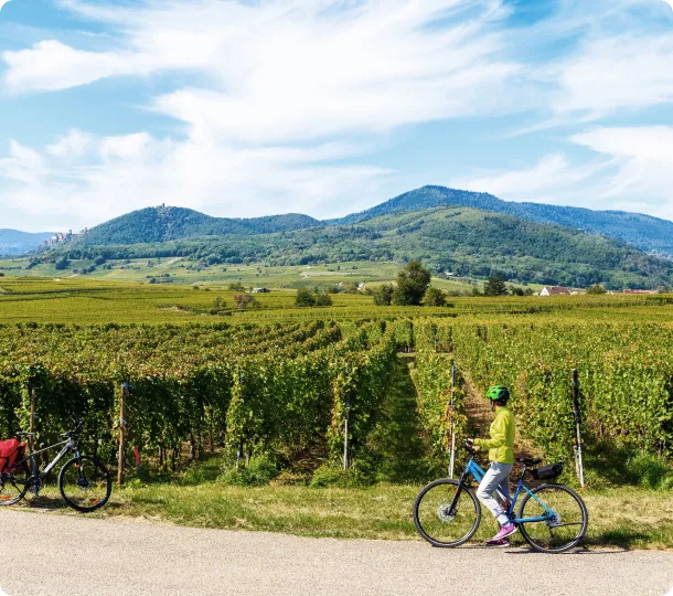 Ciclista in un vigneto con colline verdi sullo sfondo.